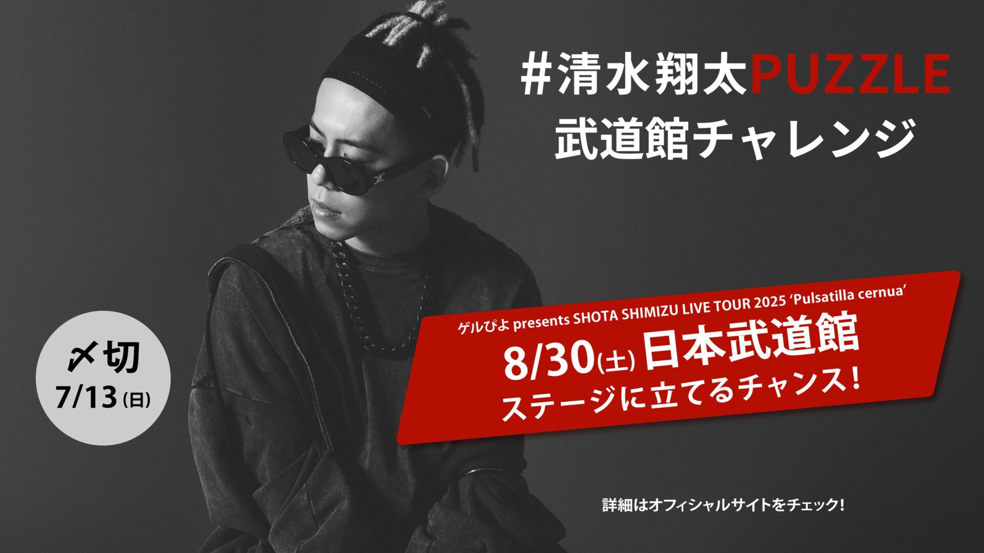 PUZZLE」が大ヒット中の清水翔太、武道館公演で「PUZZLE」を共に歌唱